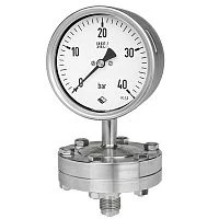 RSCh G 100-3vDW 10 bar + MDM7910vd8 PN60 1/2"NPT СИЛИКОН + разделитель УТ000014691