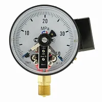 ТМ-510Р.06(0-1)МPa.М20х1,5.1,5 ЭКМ исп.VI УТ000017550