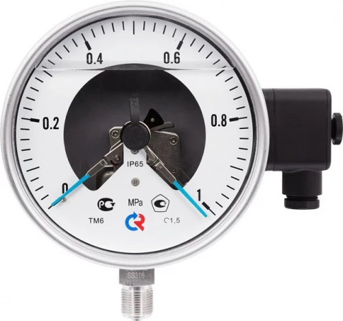ТМ-621Р.05(0-16)MPa.М20х1,5.1,5 ЭКМ исп.V  СИЛИКОН УТ000017098
