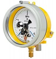 ДМ2005ф Сг1Ехd 10 МПа кл.1,5 исп IV УТ000014927